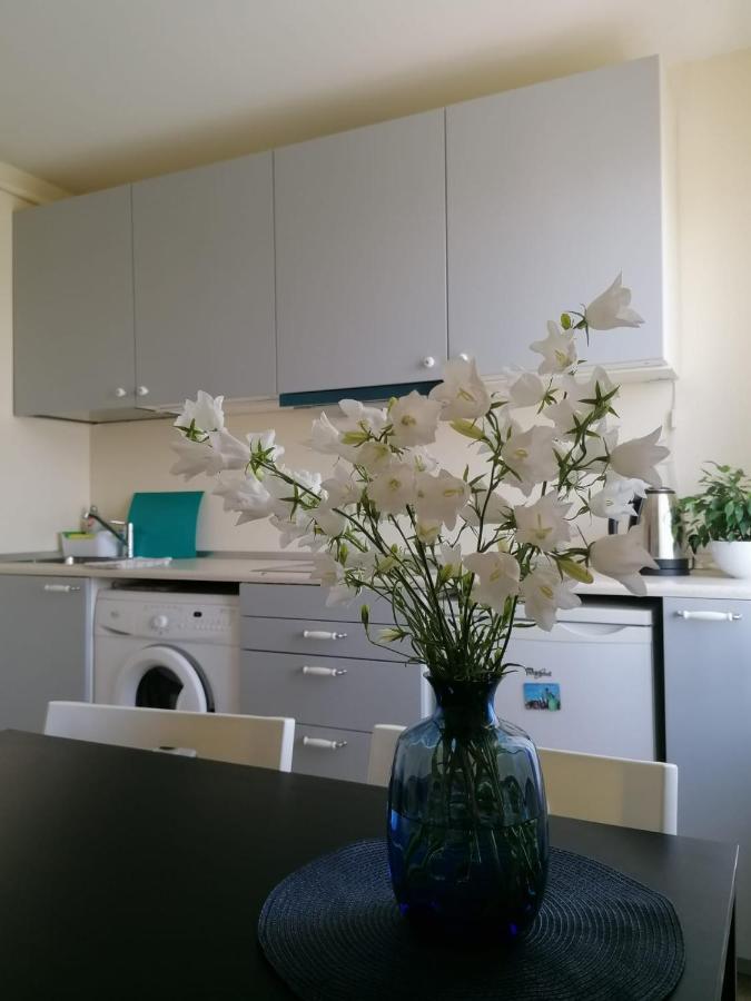 Apartment Anna Saldus Eksteriør bilde
